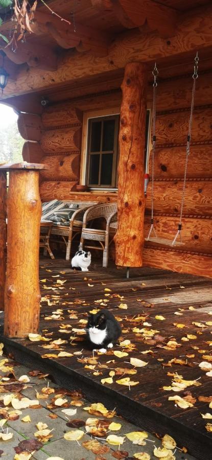 Vila Vilinka & Vila Native Vilinija Resort Village ポドチェトルテク エクステリア 写真